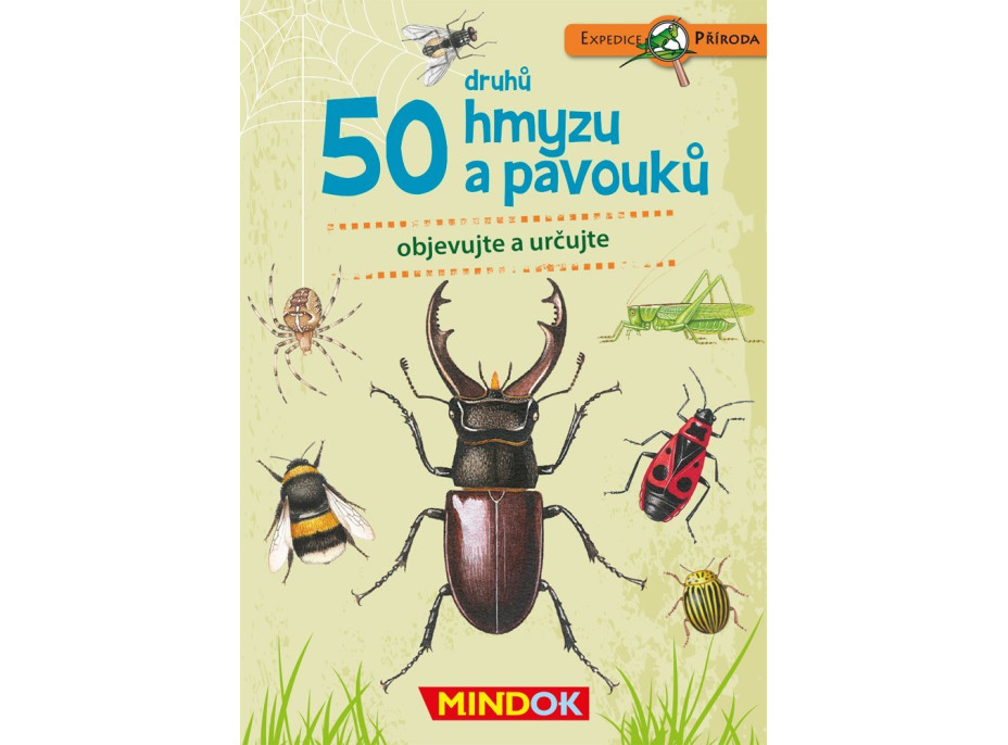 MINDOK Expedice příroda: 50 druhů hmyzu a pavouků