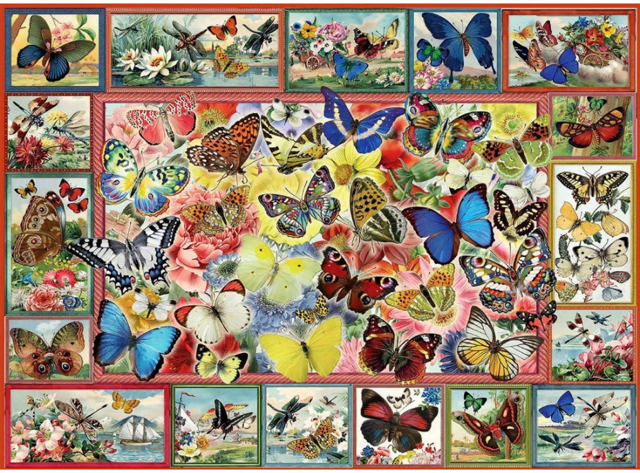 ANATOLIAN Puzzle Spousta motýlů 1000 dílků
