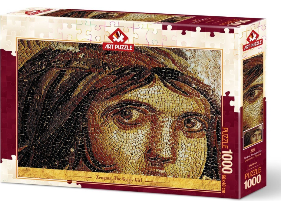 ART PUZZLE Puzzle Cikánská dívka 1000 dílků