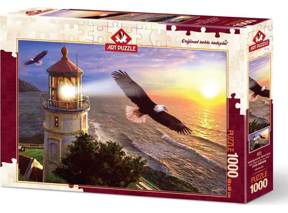 ART PUZZLE Puzzle Let za úsvitu 1000 dílků