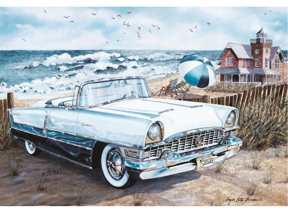 ANATOLIAN Puzzle Nekončící léto 500 dílků