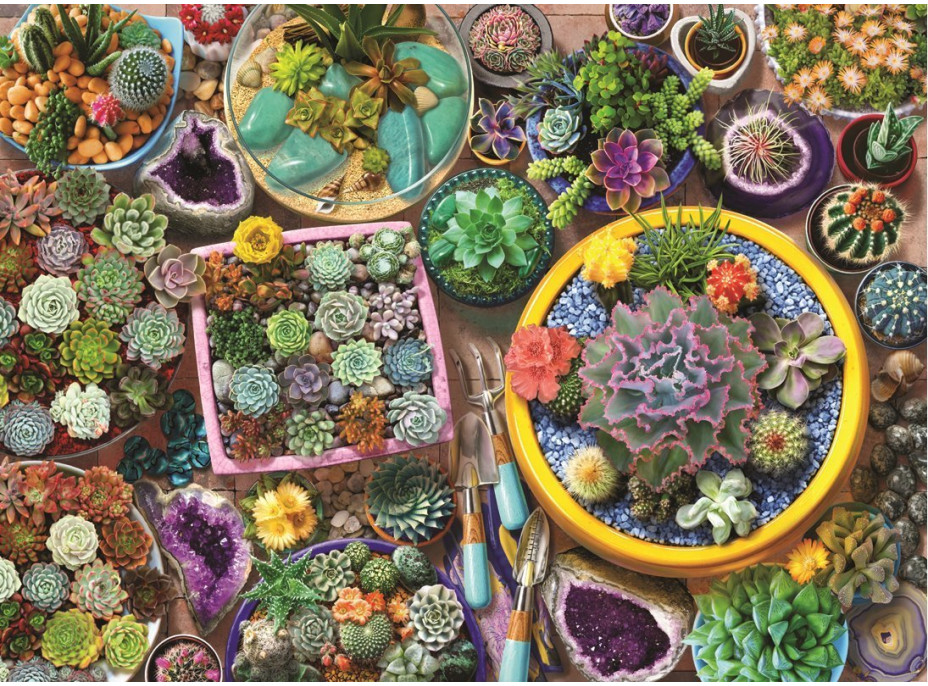 ANATOLIAN Puzzle Kaktusové květináče 1000 dílků