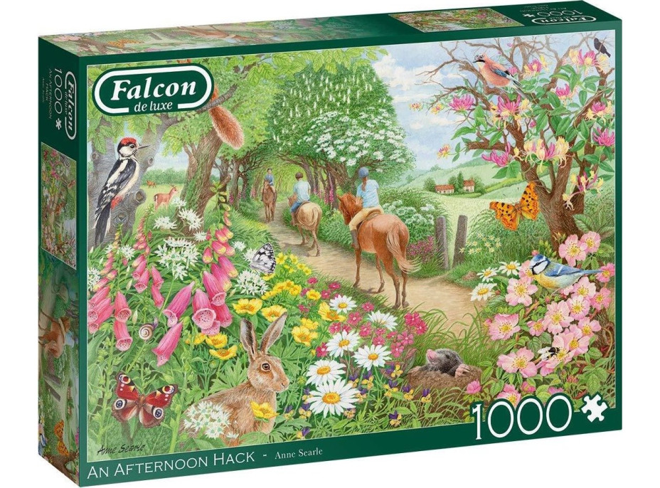 FALCON Puzzle Odpolední projížďka 1000 dílků