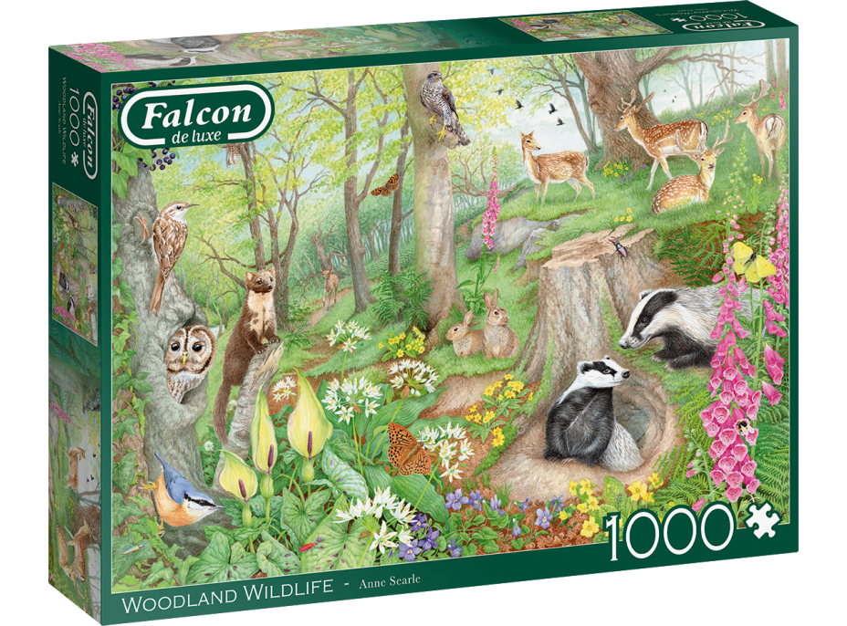 FALCON Puzzle Život v lese 1000 dílků
