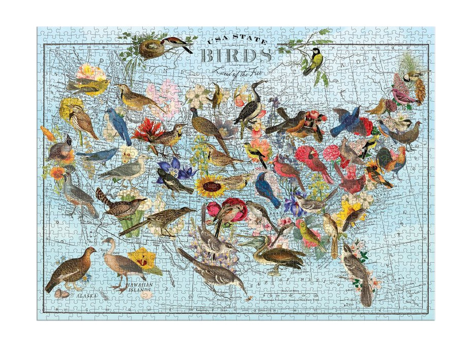 GALISON Puzzle Wendy Gold: Národní ptáci 1000 dílků