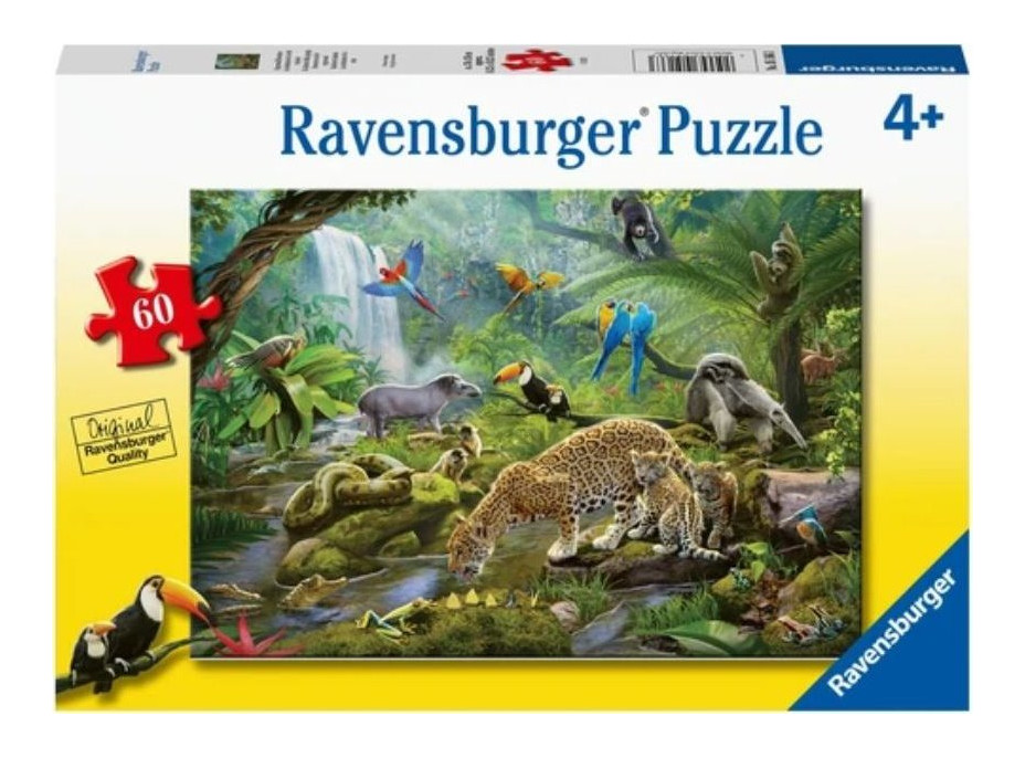 RAVENSBURGER Puzzle Zvířata v deštném pralese 60 dílků