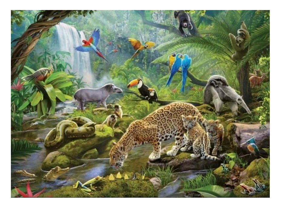 RAVENSBURGER Puzzle Zvířata v deštném pralese 60 dílků