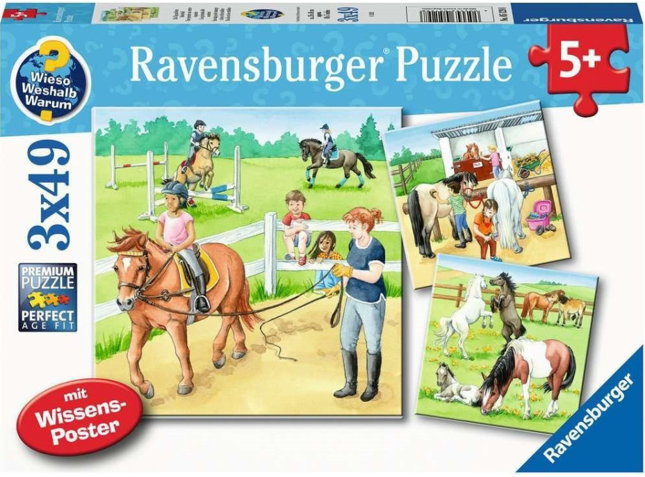 RAVENSBURGER Puzzle Den u koní 3x49 dílků