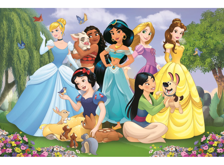 TREFL Puzzle Super Shape XL Disney princezny: V zahradě 104 dílků