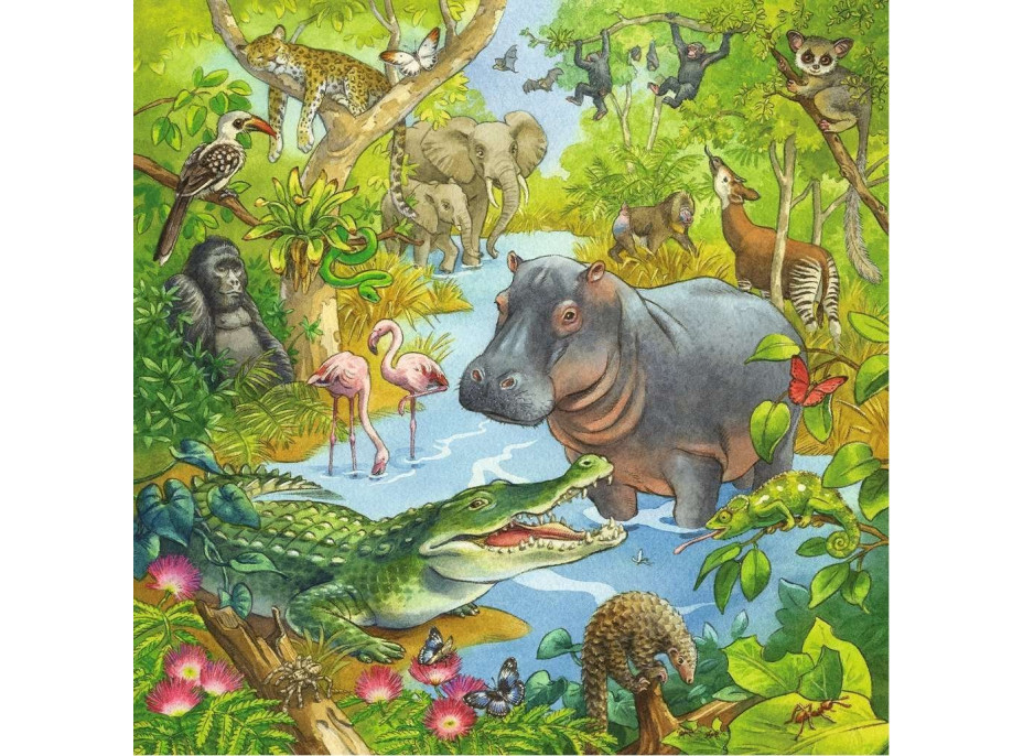 RAVENSBURGER Puzzle Zvířata v džungli 3x49 dílků