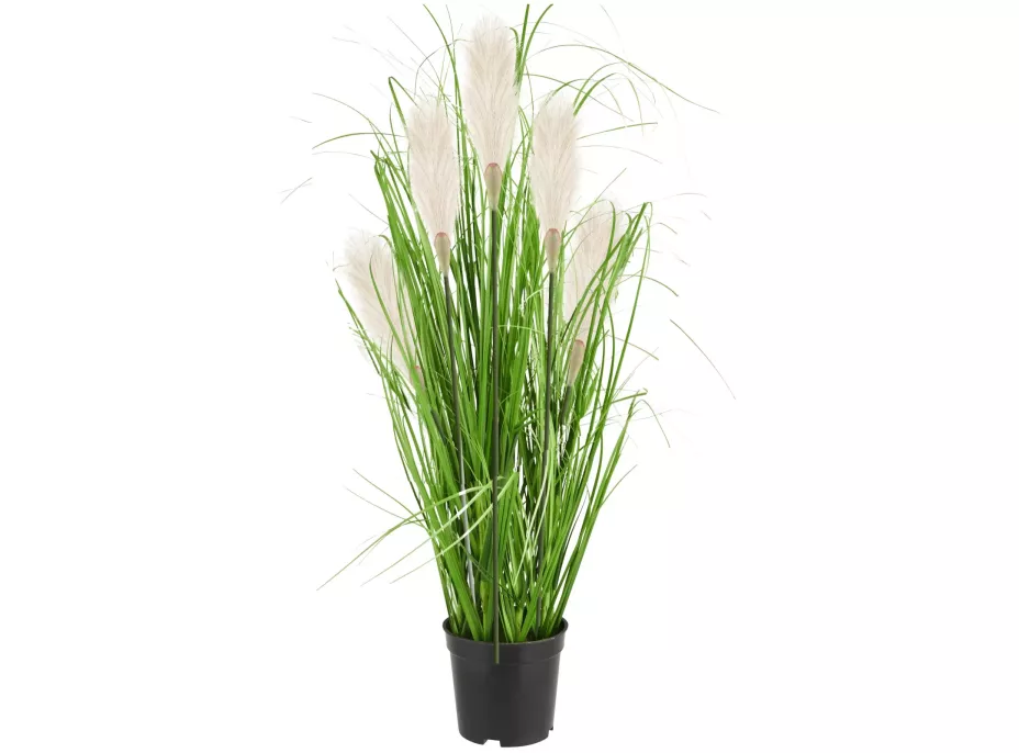 Umělá tráva pampová - 90 cm - ecru bílá