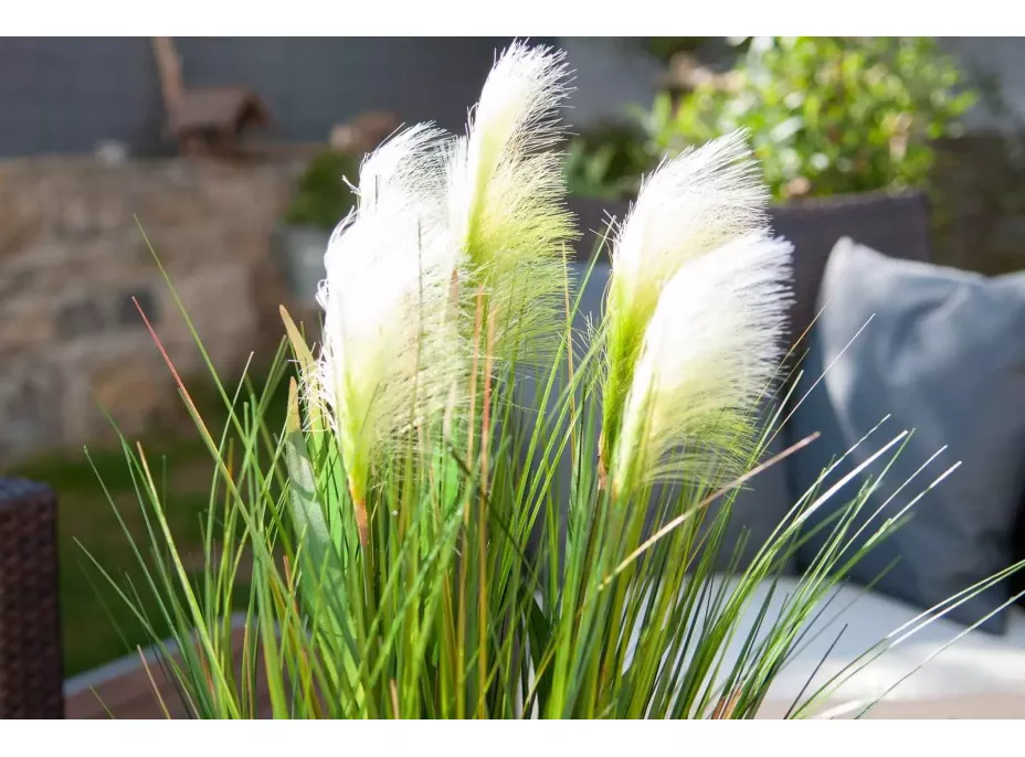 Umělá tráva pampová - 90 cm - ecru bílá