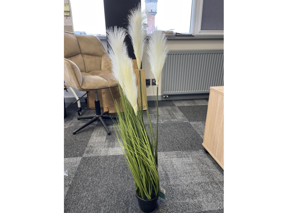 Umělá tráva pampová - 90 cm - ecru bílá