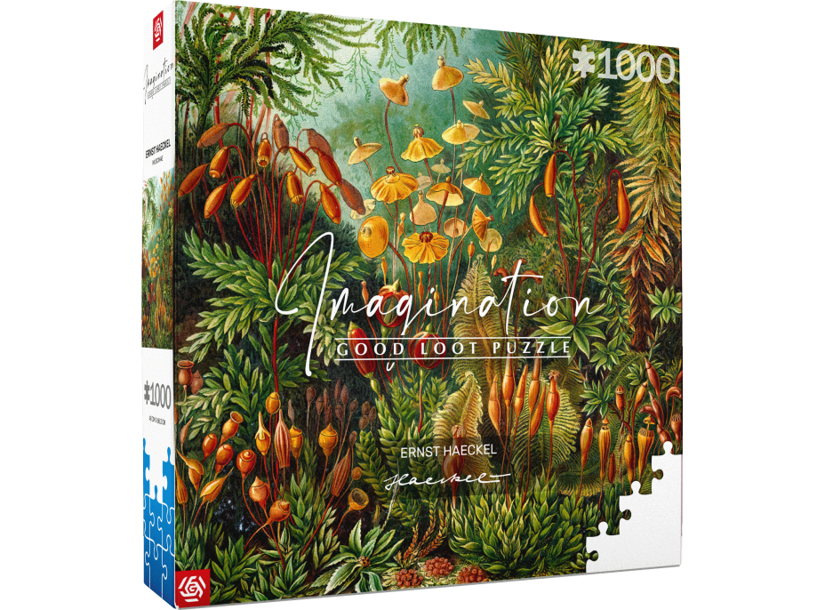 GOOD LOOT Puzzle Imagination: Ernst Haeckel - Muscinae 1000 dílků