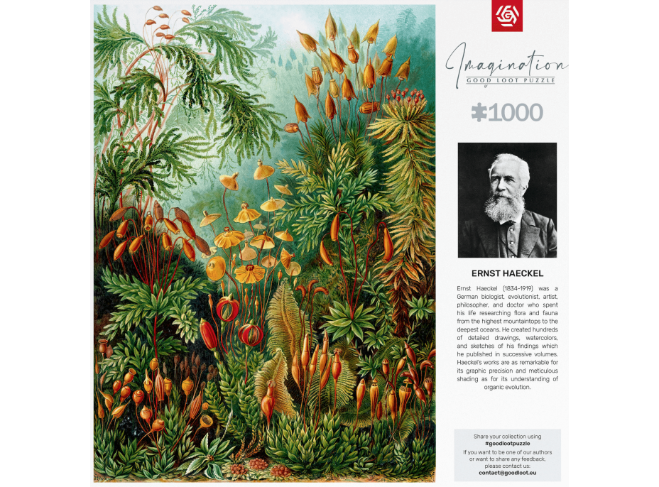 GOOD LOOT Puzzle Imagination: Ernst Haeckel - Muscinae 1000 dílků