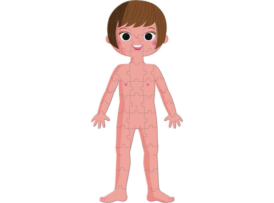 JANOD Puzzle Lidské tělo 3v1 (50,75,100 dílků)