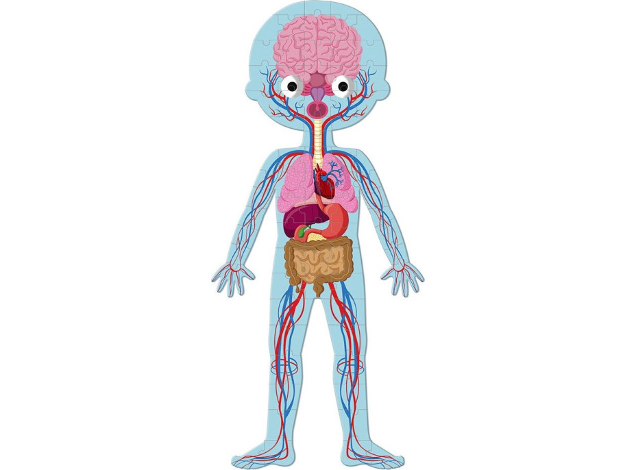 JANOD Puzzle Lidské tělo 3v1 (50,75,100 dílků)