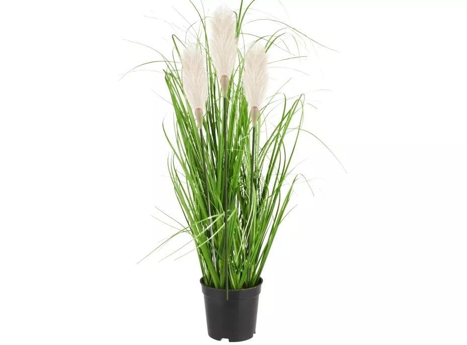 Umělá tráva pampová - 70 cm - ecru bílá