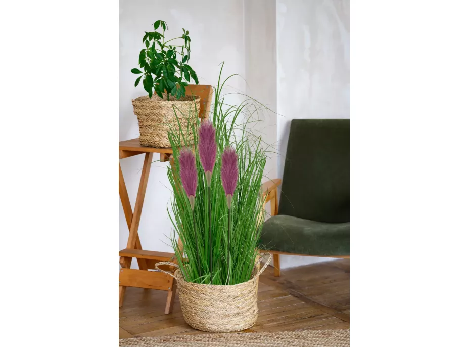Umělá tráva pampová - 70 cm - fialová