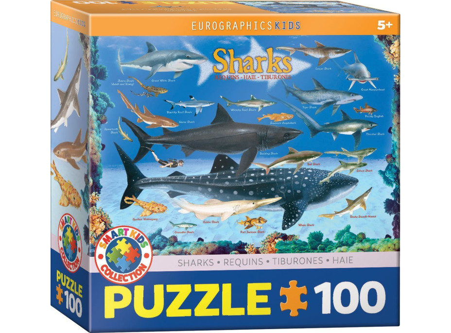 EUROGRAPHICS Puzzle Žraloci 100 dílků