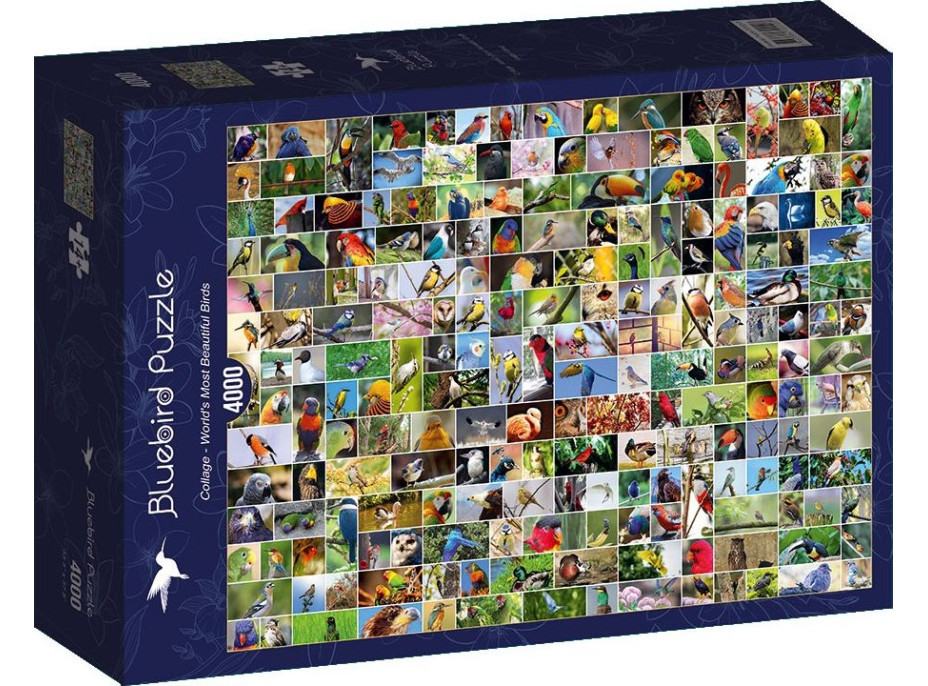 BLUEBIRD Puzzle Koláž: Nejkrásnější ptáci světa 4000 dílků